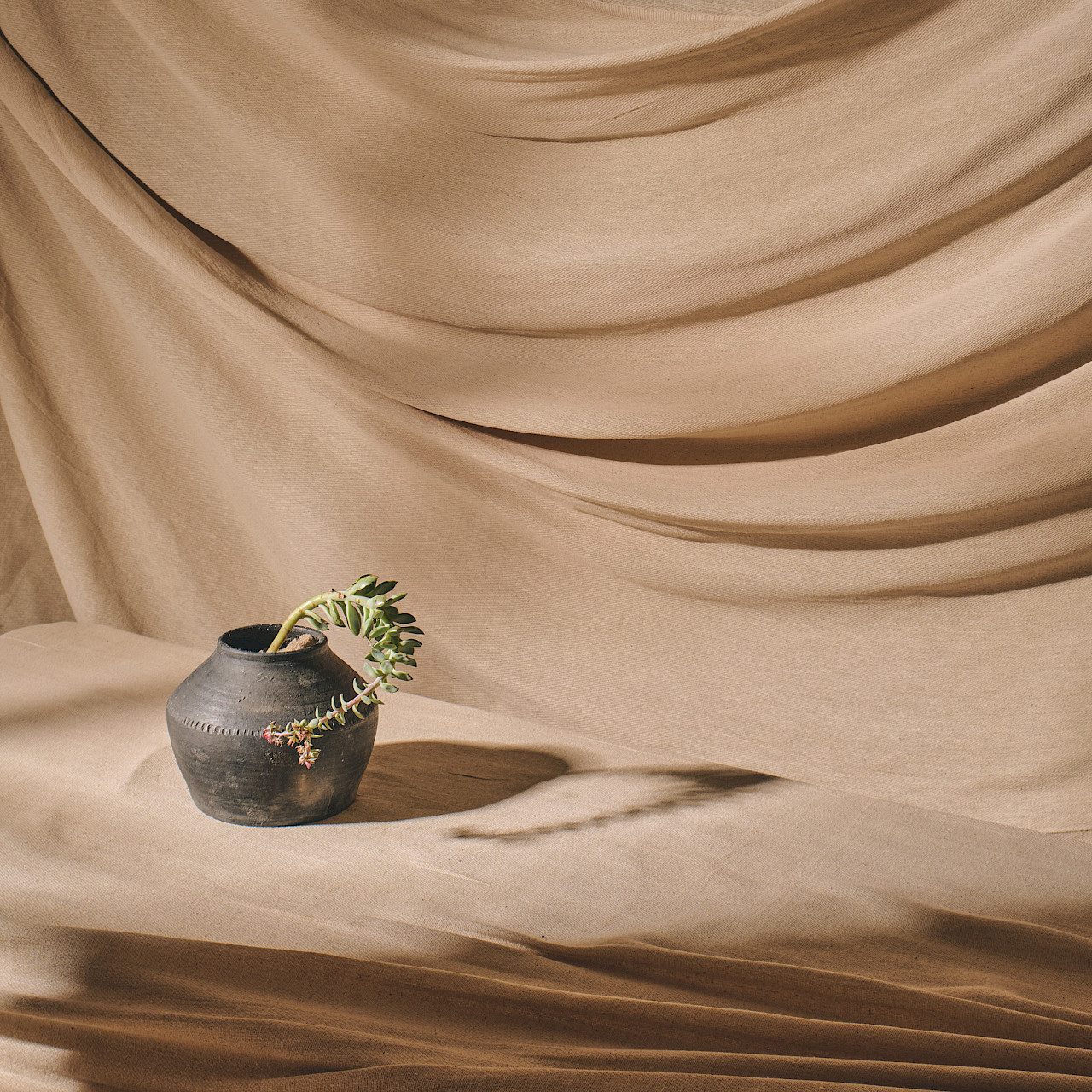 The Black Clay